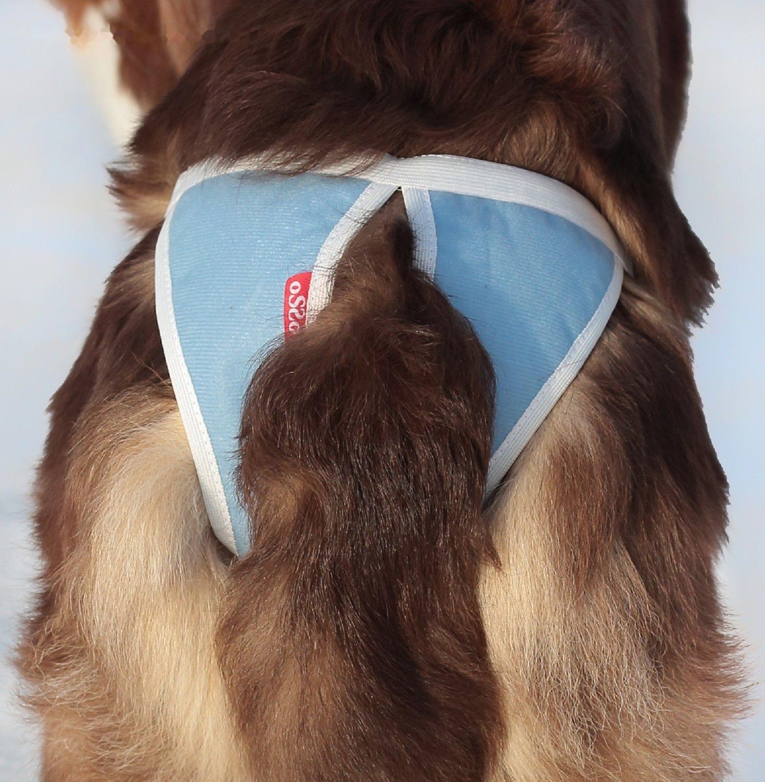 Трусы для собак многоразовые OSSO ABSORB, размер L