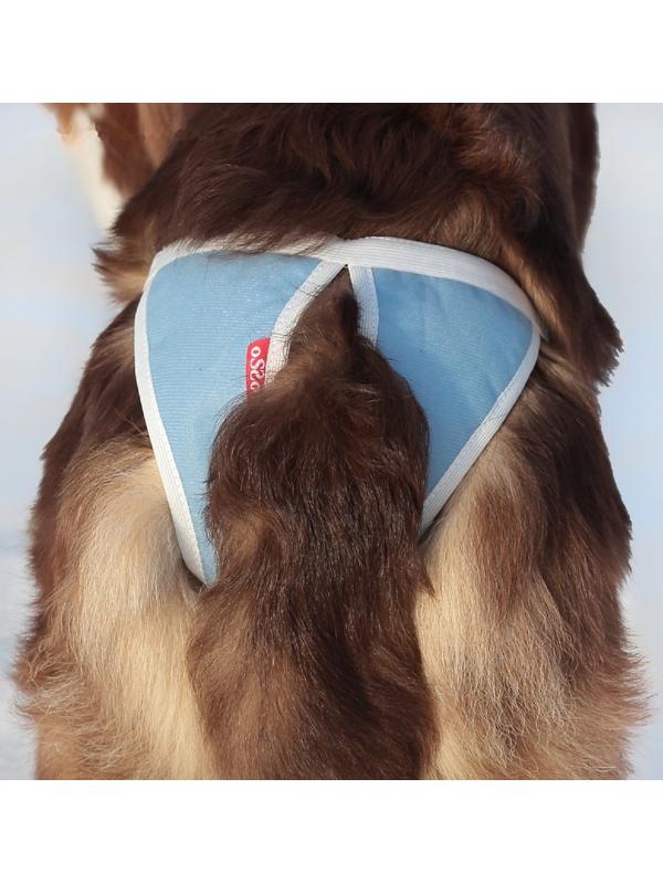 Трусы для собак многоразовые OSSO ABSORB, размер L