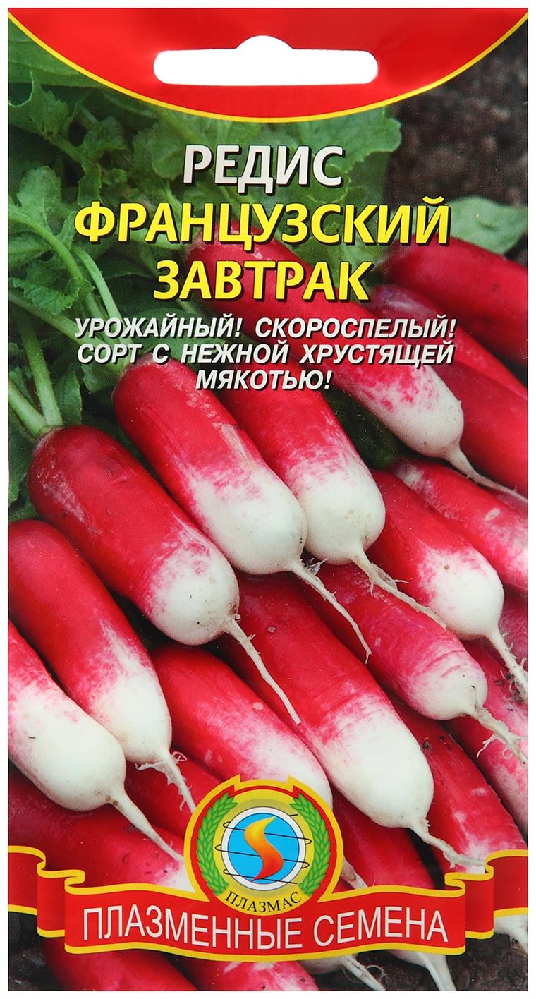 Семена Редис 