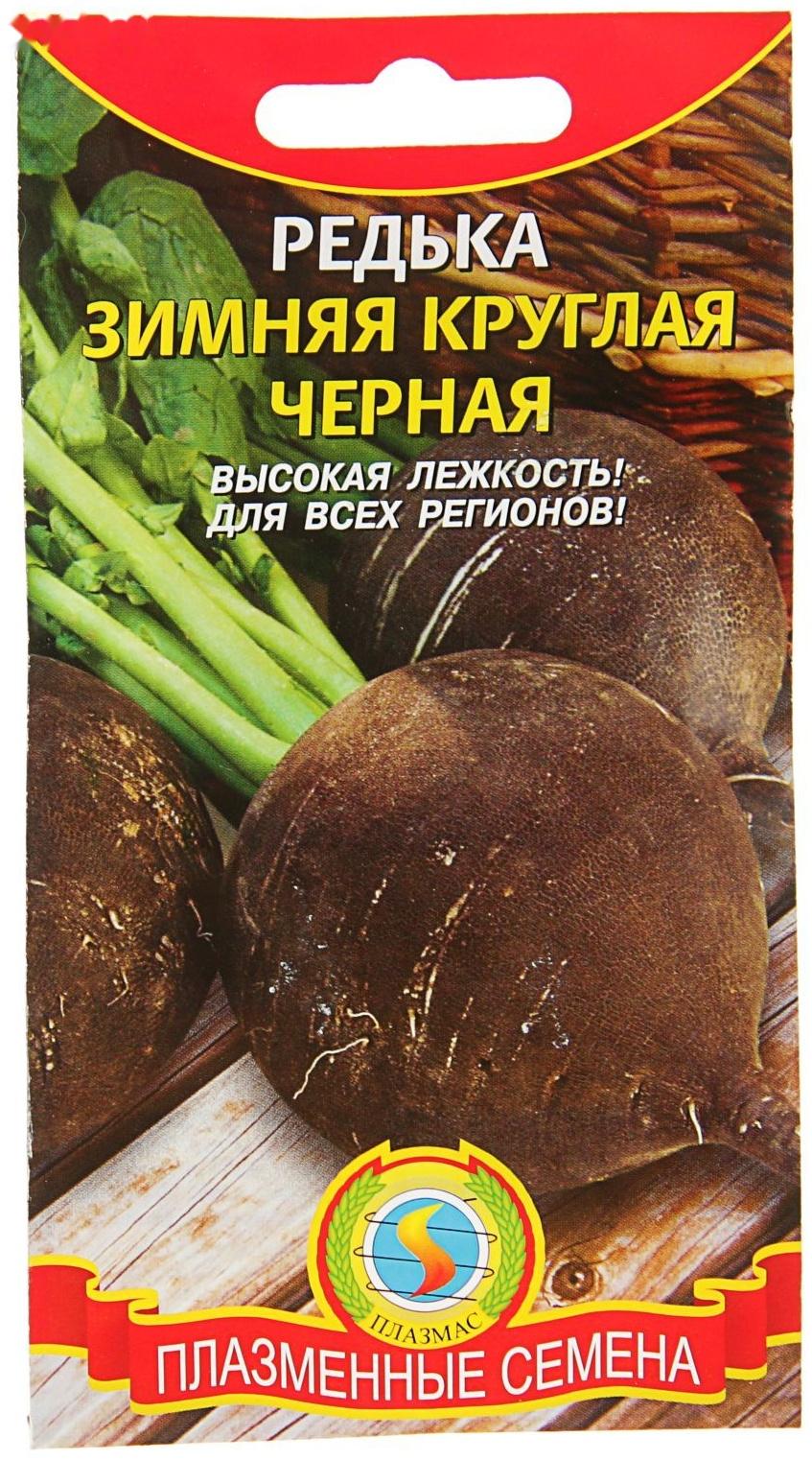 Семена Редька 