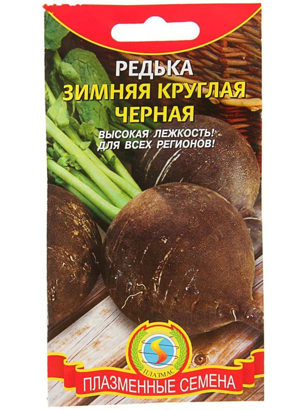 Семена Редька 