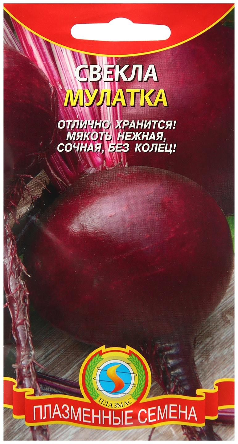 Семена Свекла 