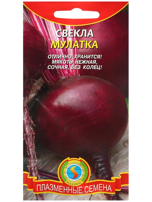 Семена Свекла 