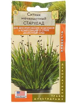 Семена Цветов Ситник 