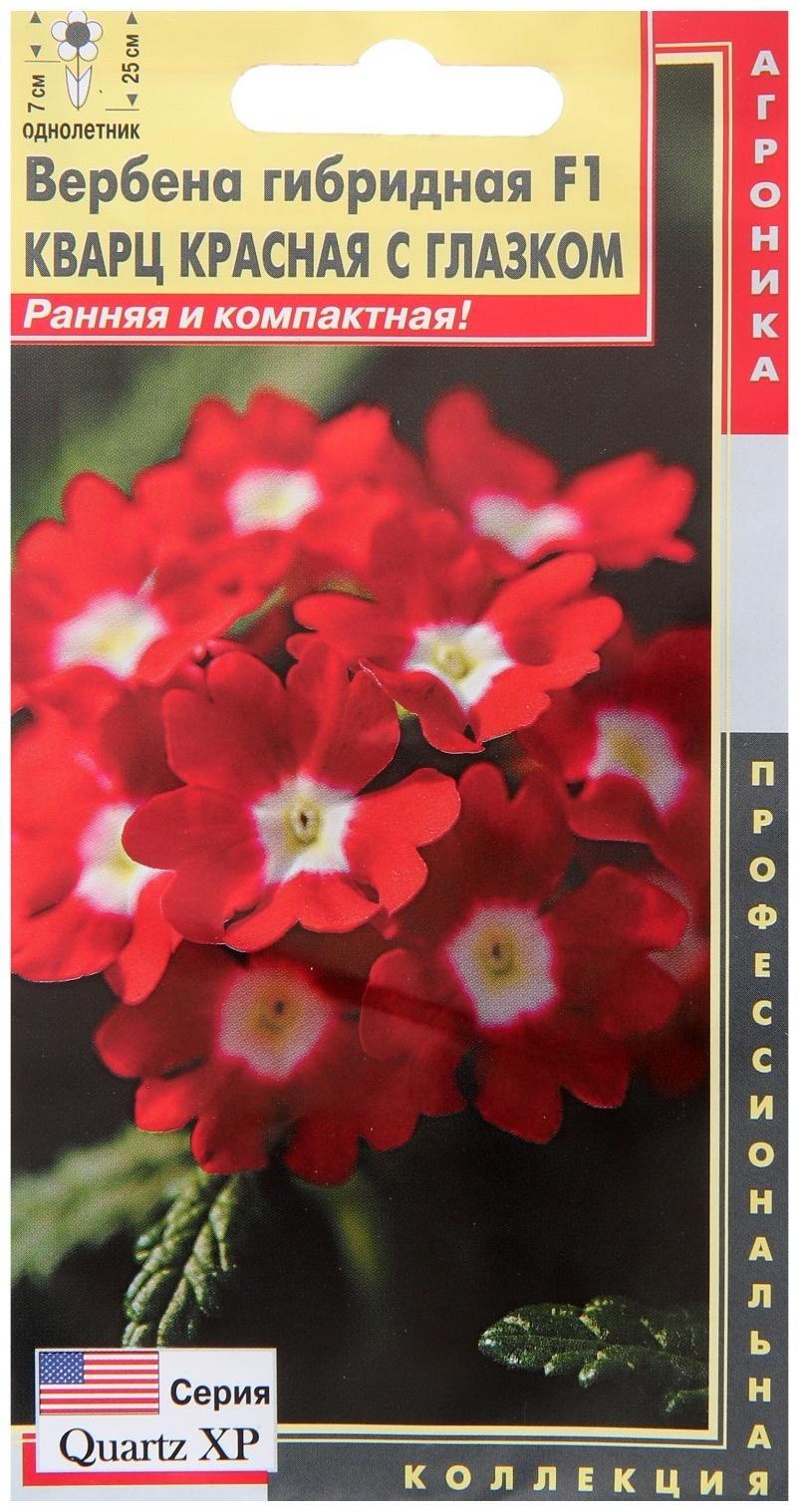 Семена Вербена Кварц 