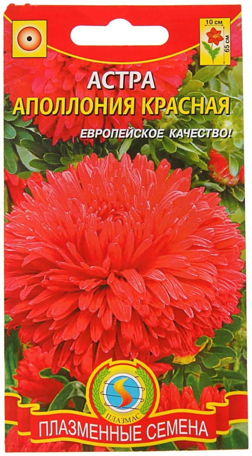 Семена Астра 