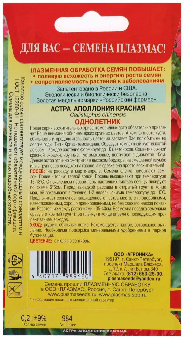 Семена Астра 