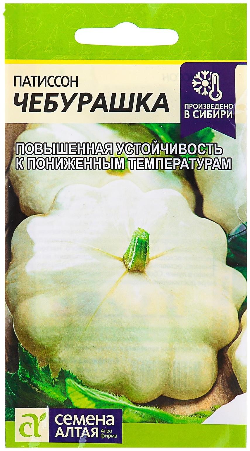 Семена Патиссон 