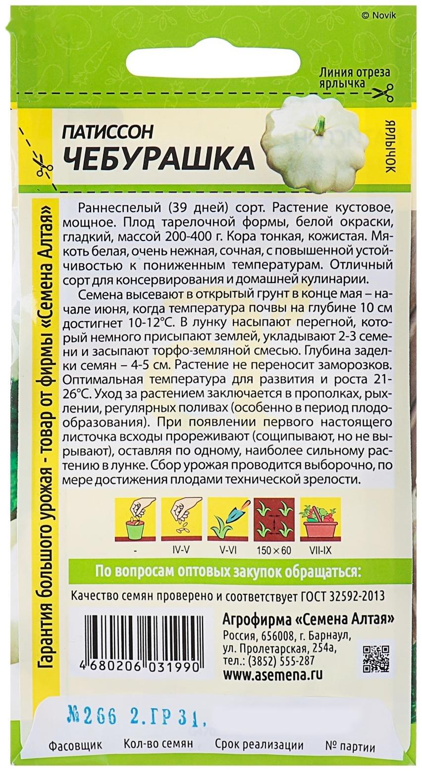 Семена Патиссон 