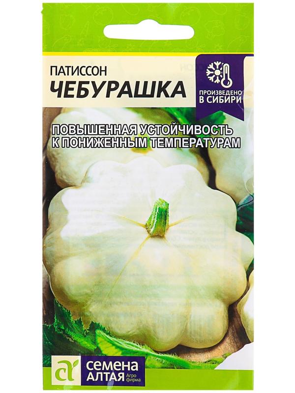 Семена Патиссон 