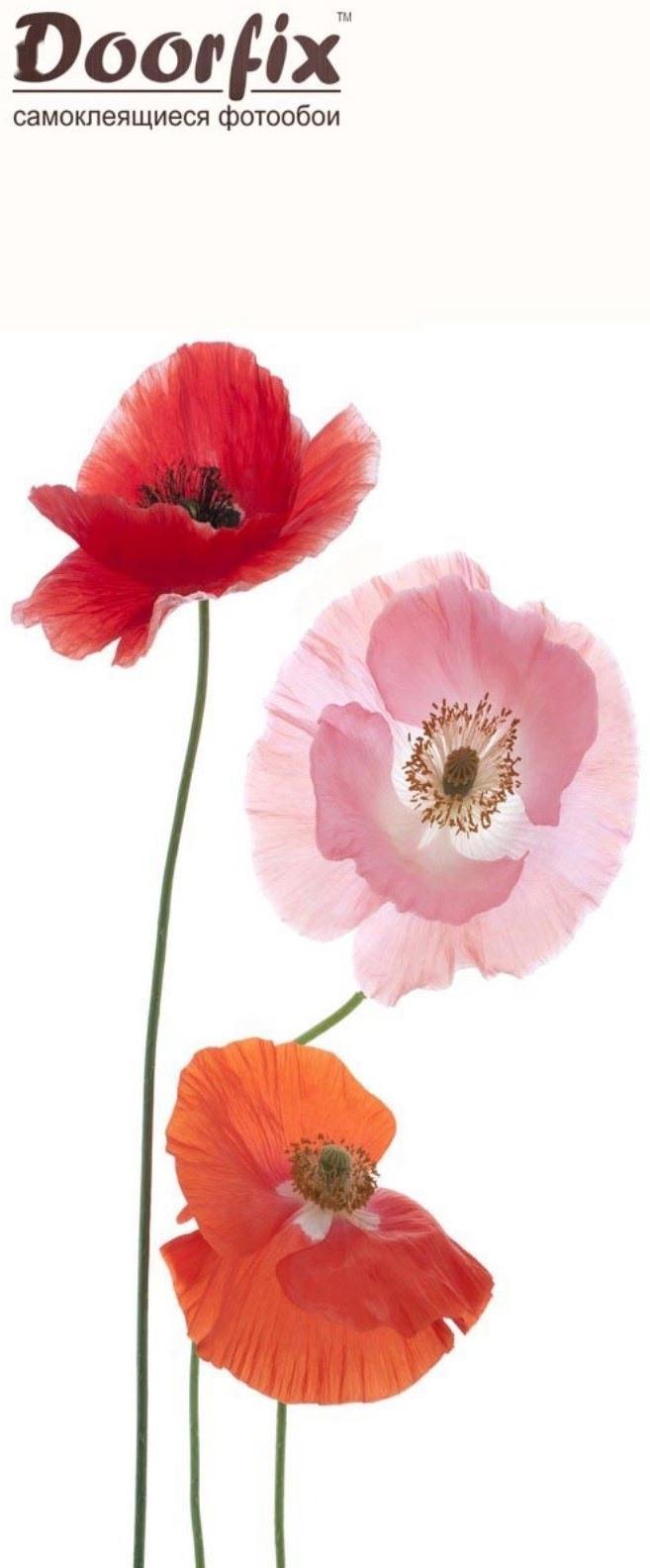 Самоклеящиеся Обои 