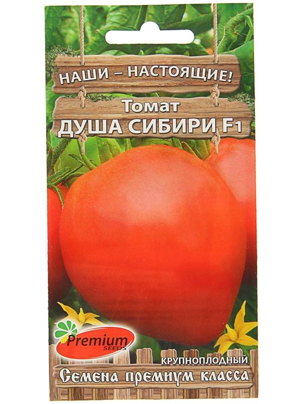 Семена Томат 