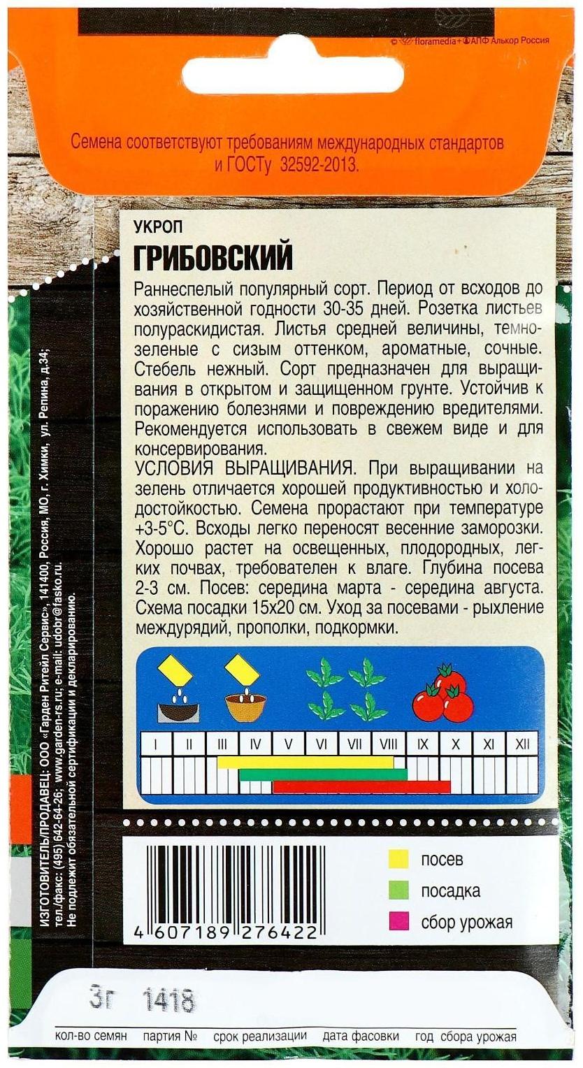 Семена Укроп 