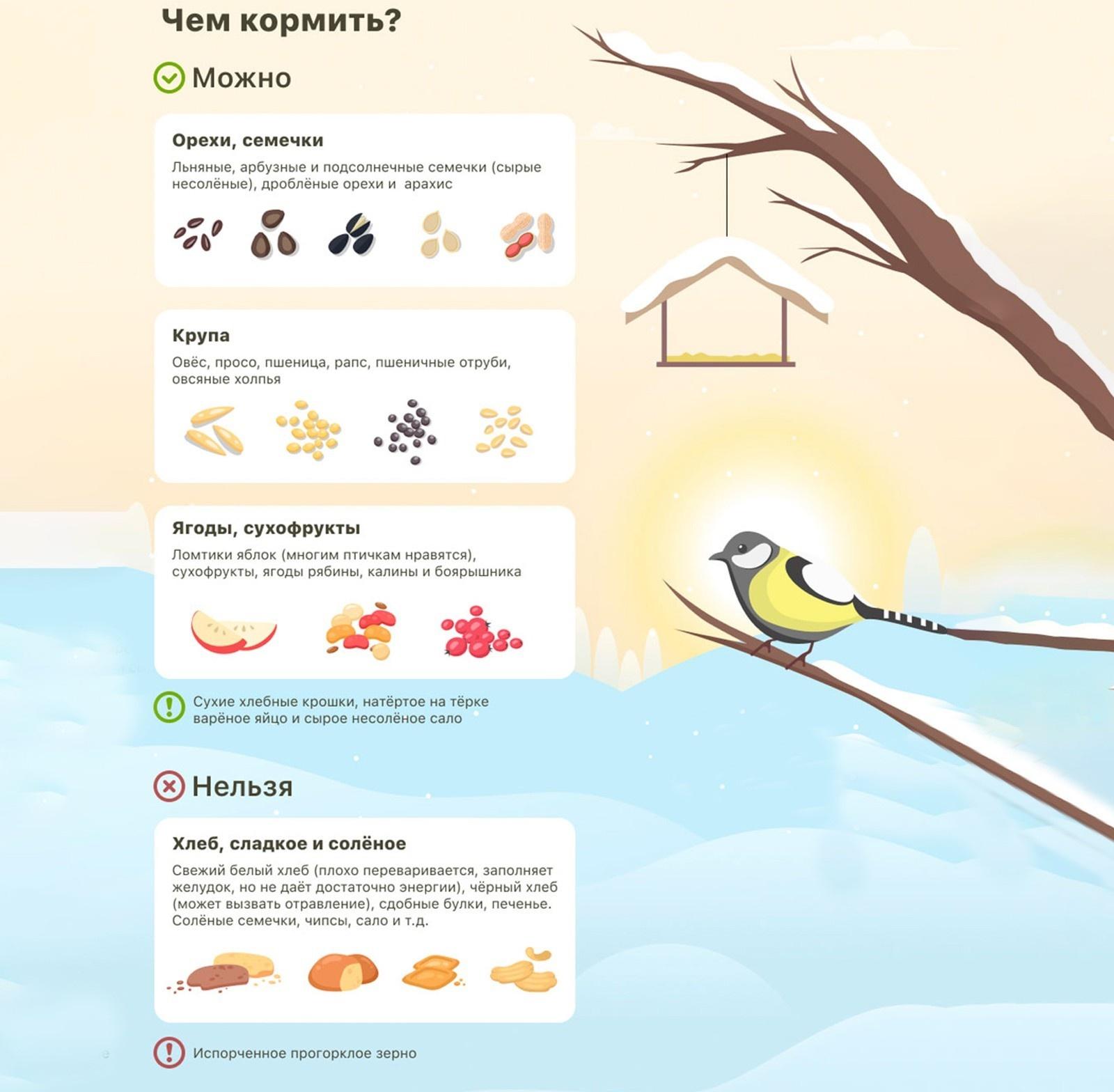 Кормушка для птиц «Беседка», 15 × 24 × 26 см, Greengo