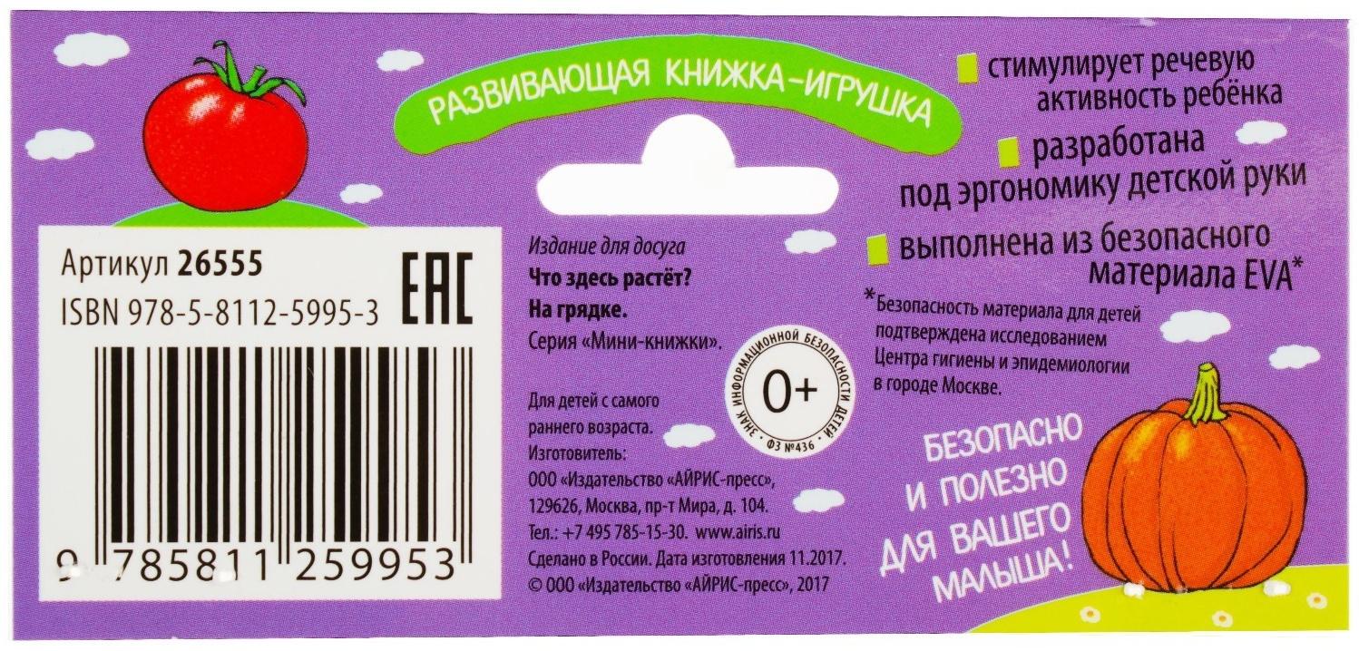 Мини-книжки. Что здесь растёт? На грядке. Куликова Е. Н.