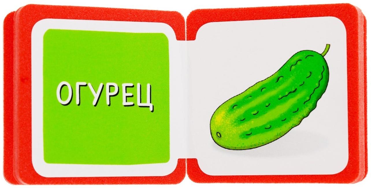 Мини-книжки. Что здесь растёт? На грядке. Куликова Е. Н.