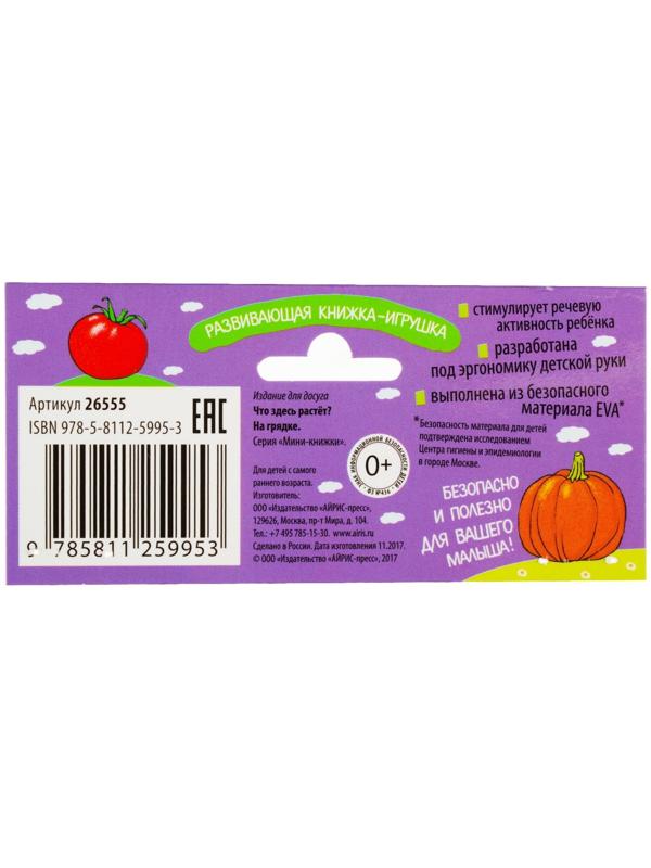 Мини-книжки. Что здесь растёт? На грядке. Куликова Е. Н.