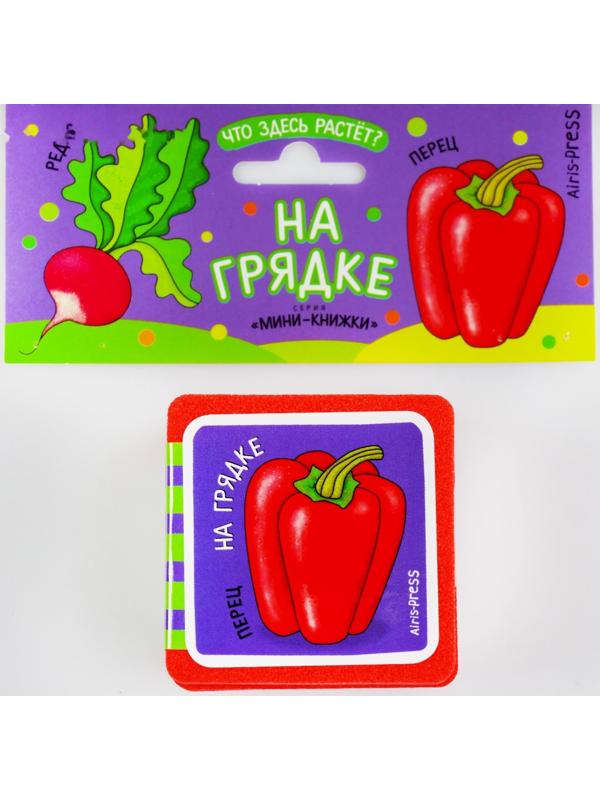 Мини-книжки. Что здесь растёт? На грядке. Куликова Е. Н.