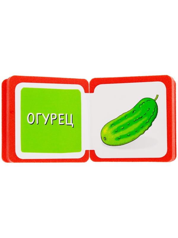 Мини-книжки. Что здесь растёт? На грядке. Куликова Е. Н.