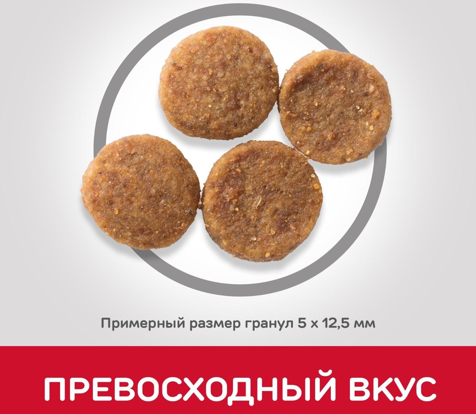 Сухой корм Hill's SP для собак средних пород, поддержание иммунитета, курица, 2,5 кг