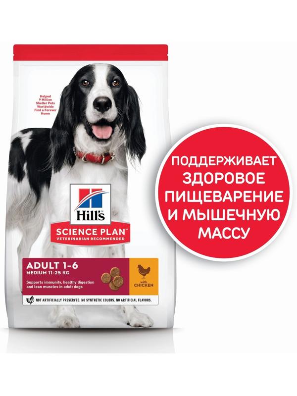 Сухой корм Hill's SP для собак средних пород, поддержание иммунитета, курица, 2,5 кг