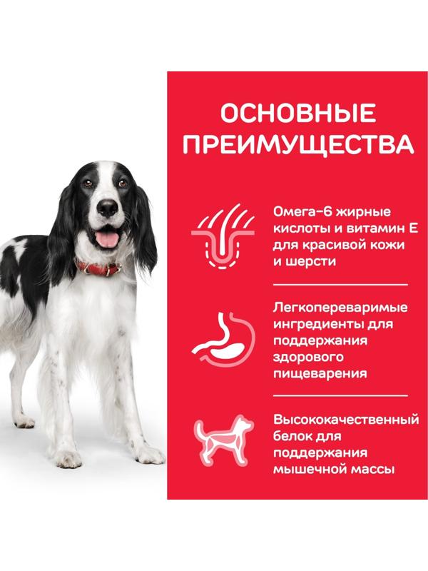 Сухой корм Hill's SP для собак средних пород, поддержание иммунитета, курица, 2,5 кг