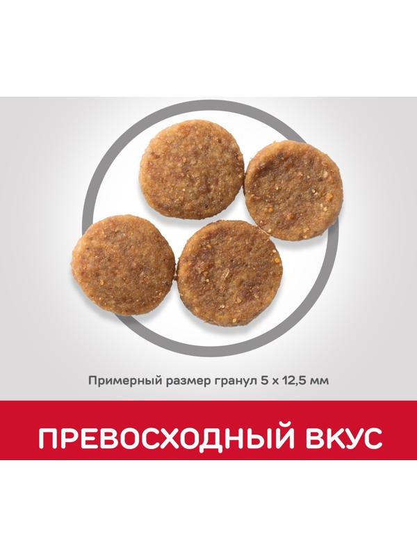 Сухой корм Hill's SP для собак средних пород, поддержание иммунитета, курица, 2,5 кг