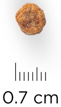 Сухой корм Hill's SP small&mini senior vitality для собак мелких пород c 7 лет, кура, 300 г