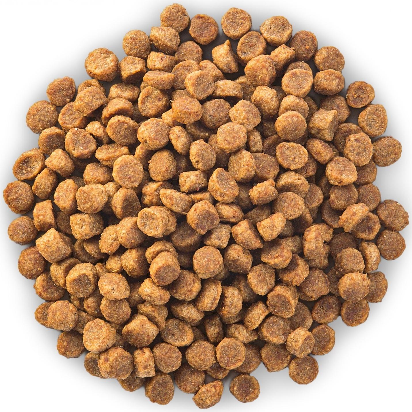 Сухой корм Hill's SP small&mini senior vitality для собак мелких пород c 7 лет, кура, 300 г