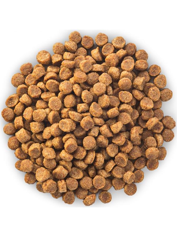 Сухой корм Hill's SP small&mini senior vitality для собак мелких пород c 7 лет, кура, 300 г