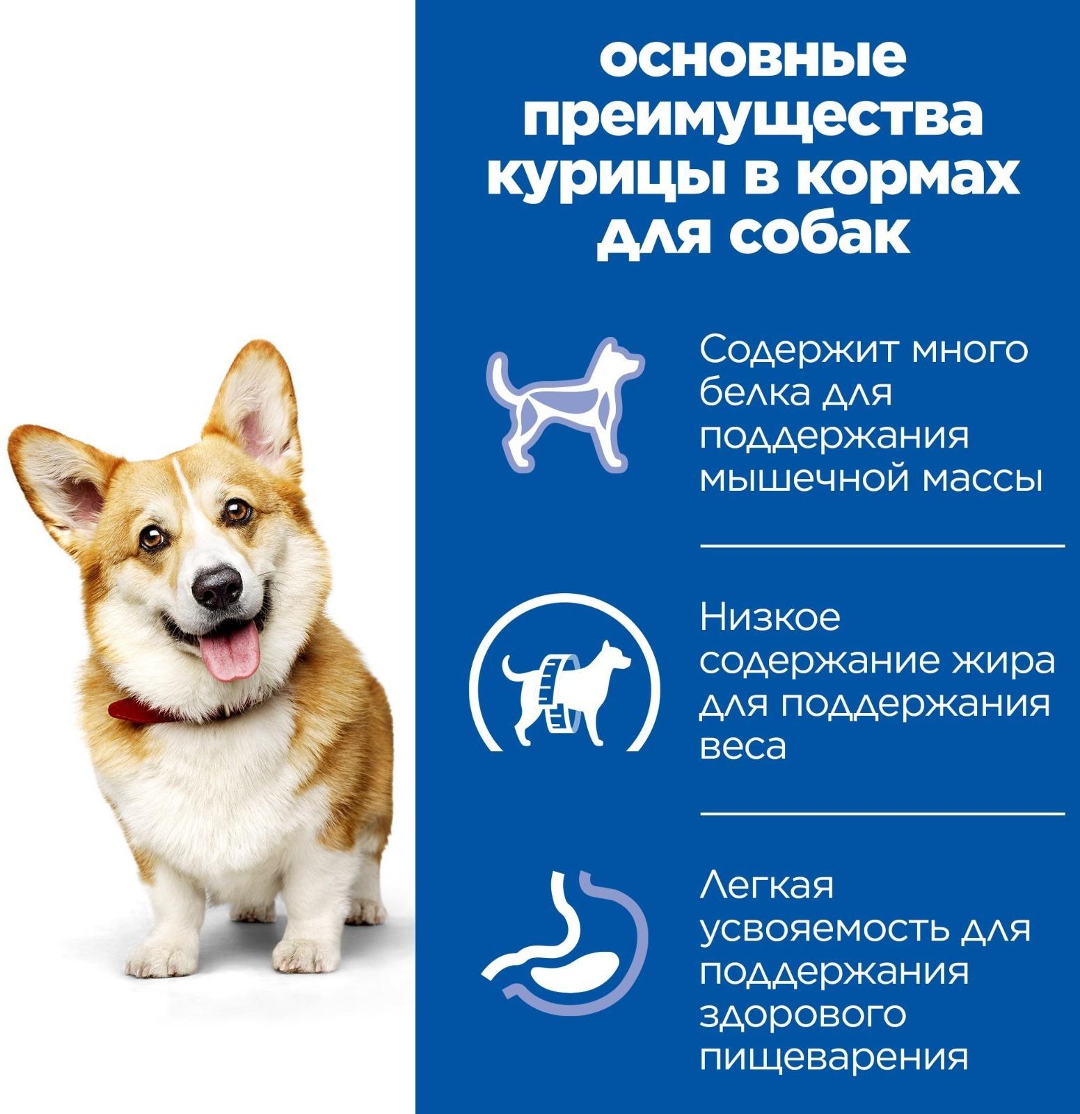 Сухой корм Hill's SP dog small&mini для собак мелких пород, курица, 1.5 кг