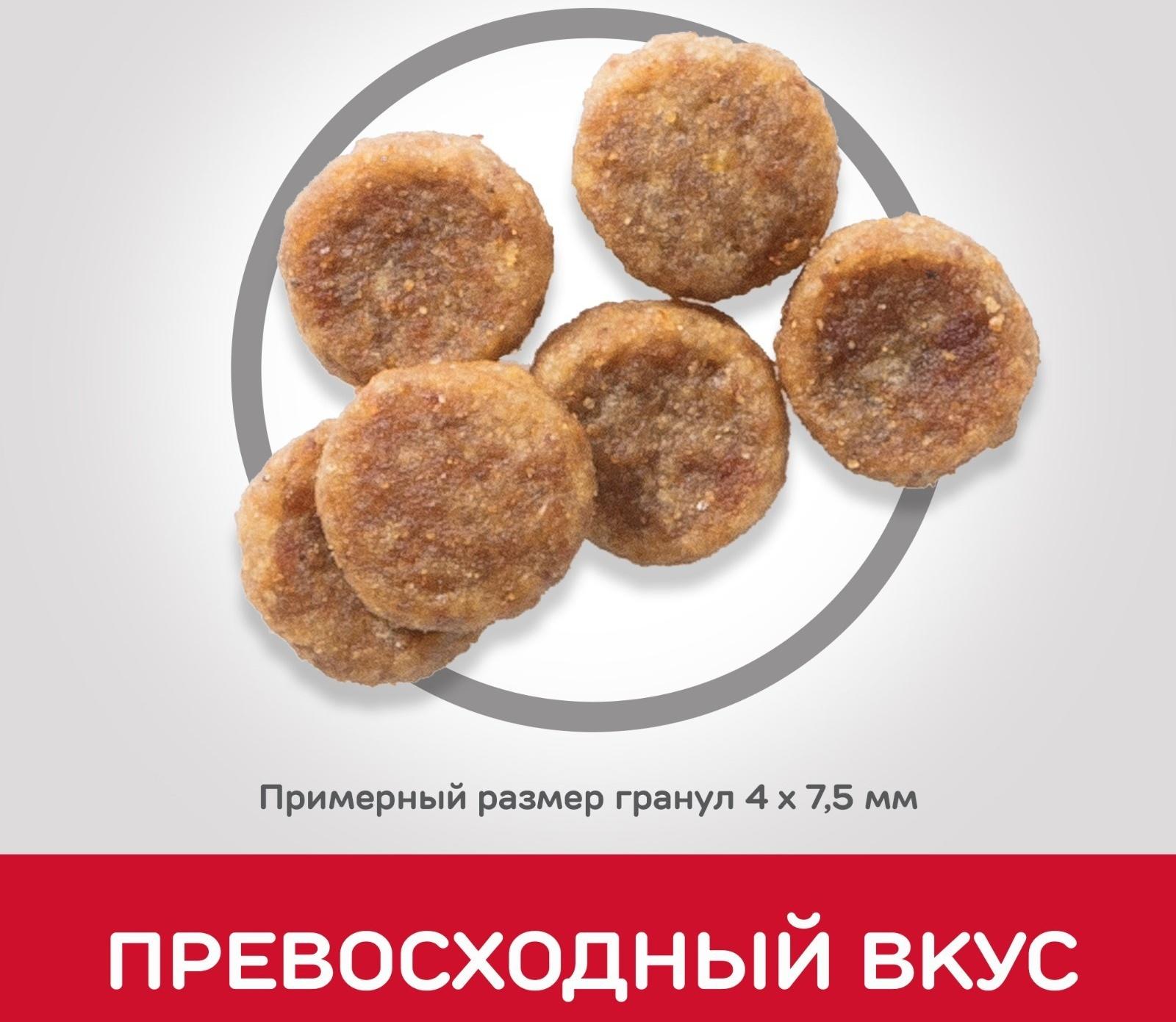 Сухой корм Hill's SP dog small&mini для собак мелких пород, курица, 1.5 кг