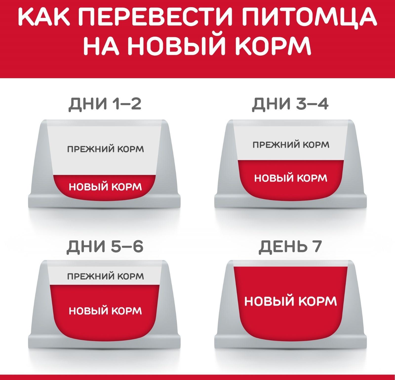 Сухой корм Hill's SP dog small&mini для собак мелких пород, курица, 1.5 кг