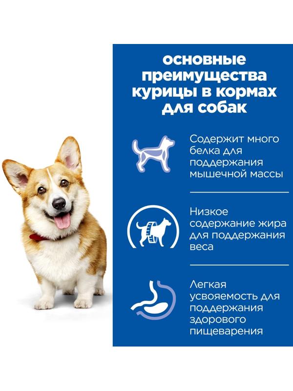 Сухой корм Hill's SP dog small&mini для собак мелких пород, курица, 1.5 кг