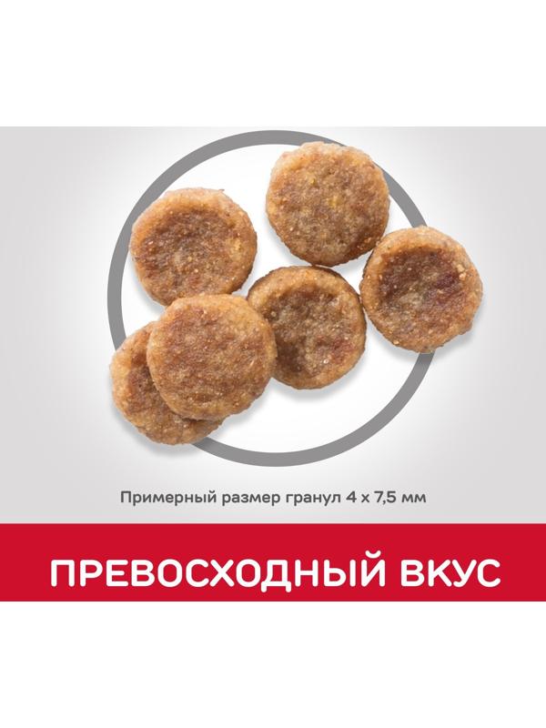 Сухой корм Hill's SP dog small&mini для собак мелких пород, курица, 1.5 кг