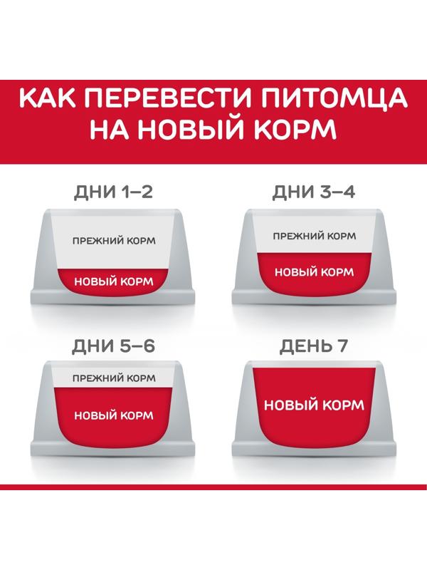 Сухой корм Hill's SP dog small&mini для собак мелких пород, курица, 1.5 кг