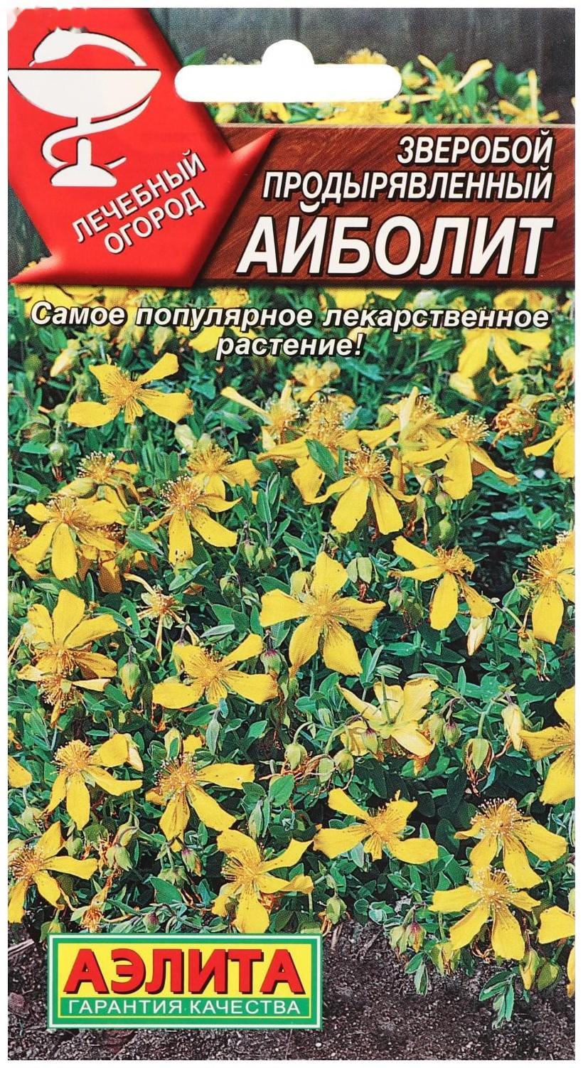 Семена Зверобой 