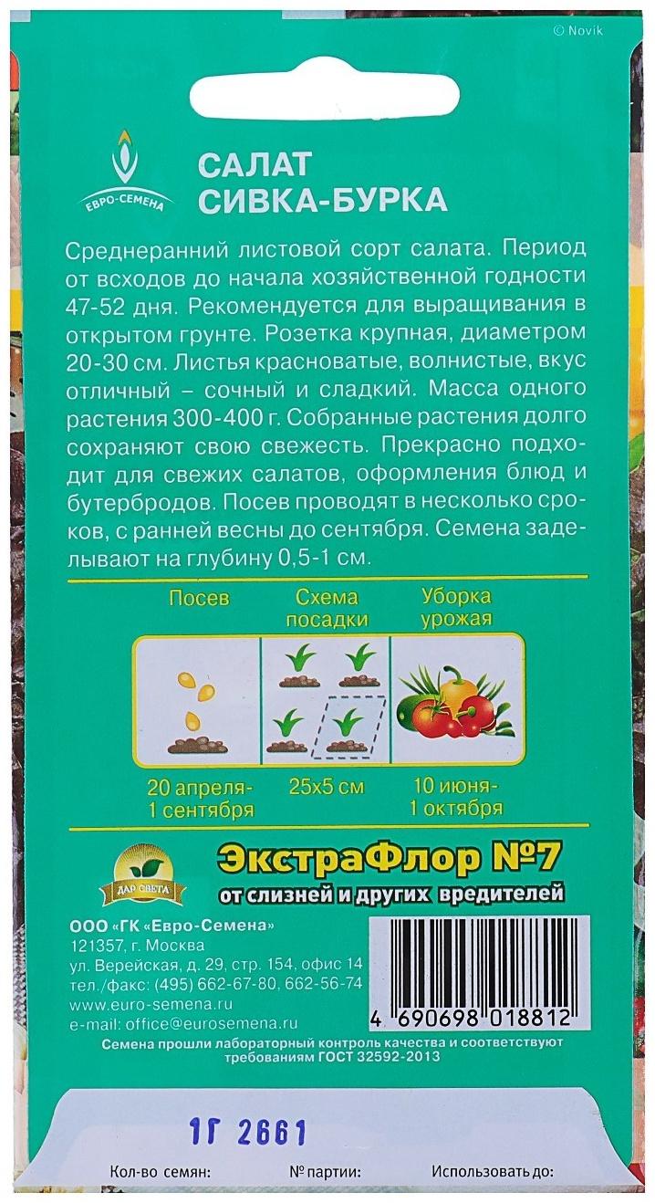 Семена Салат 