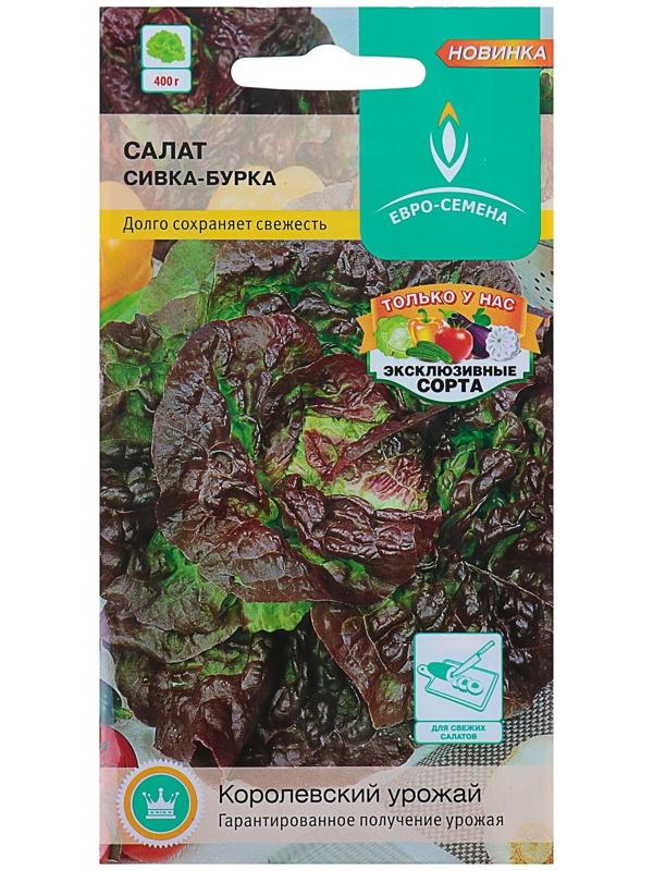 Семена Салат 