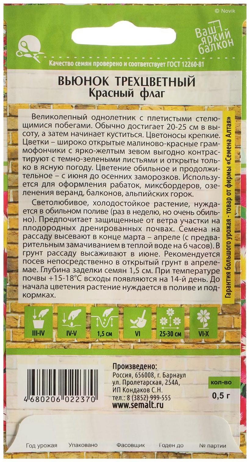 Семена цветов Вьюнок 