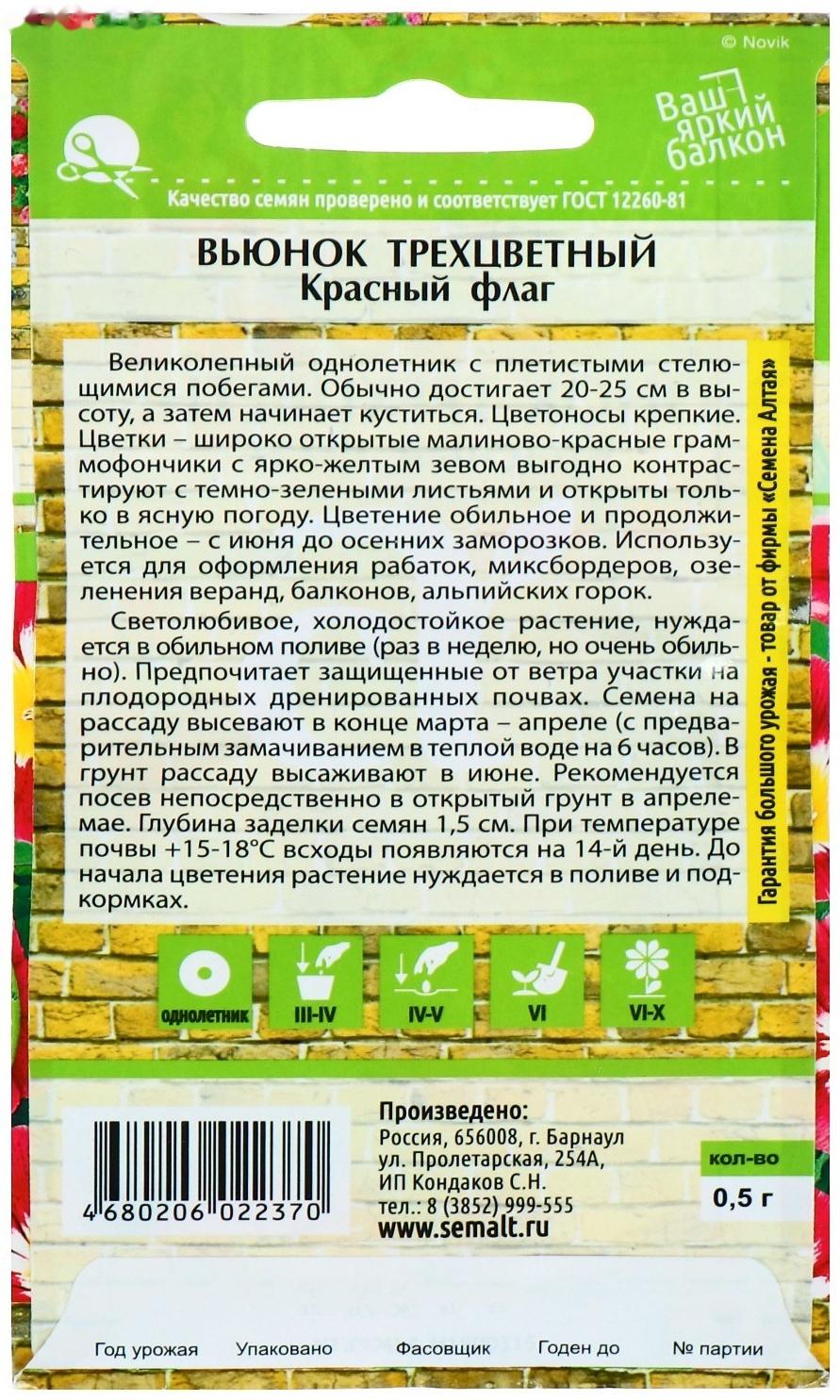 Семена цветов Вьюнок 