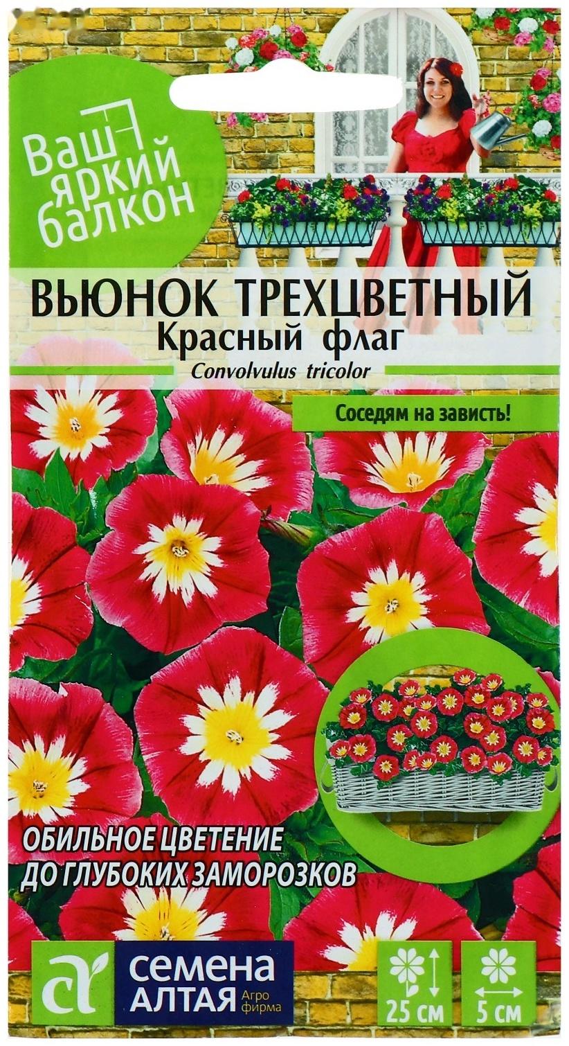 Семена цветов Вьюнок 