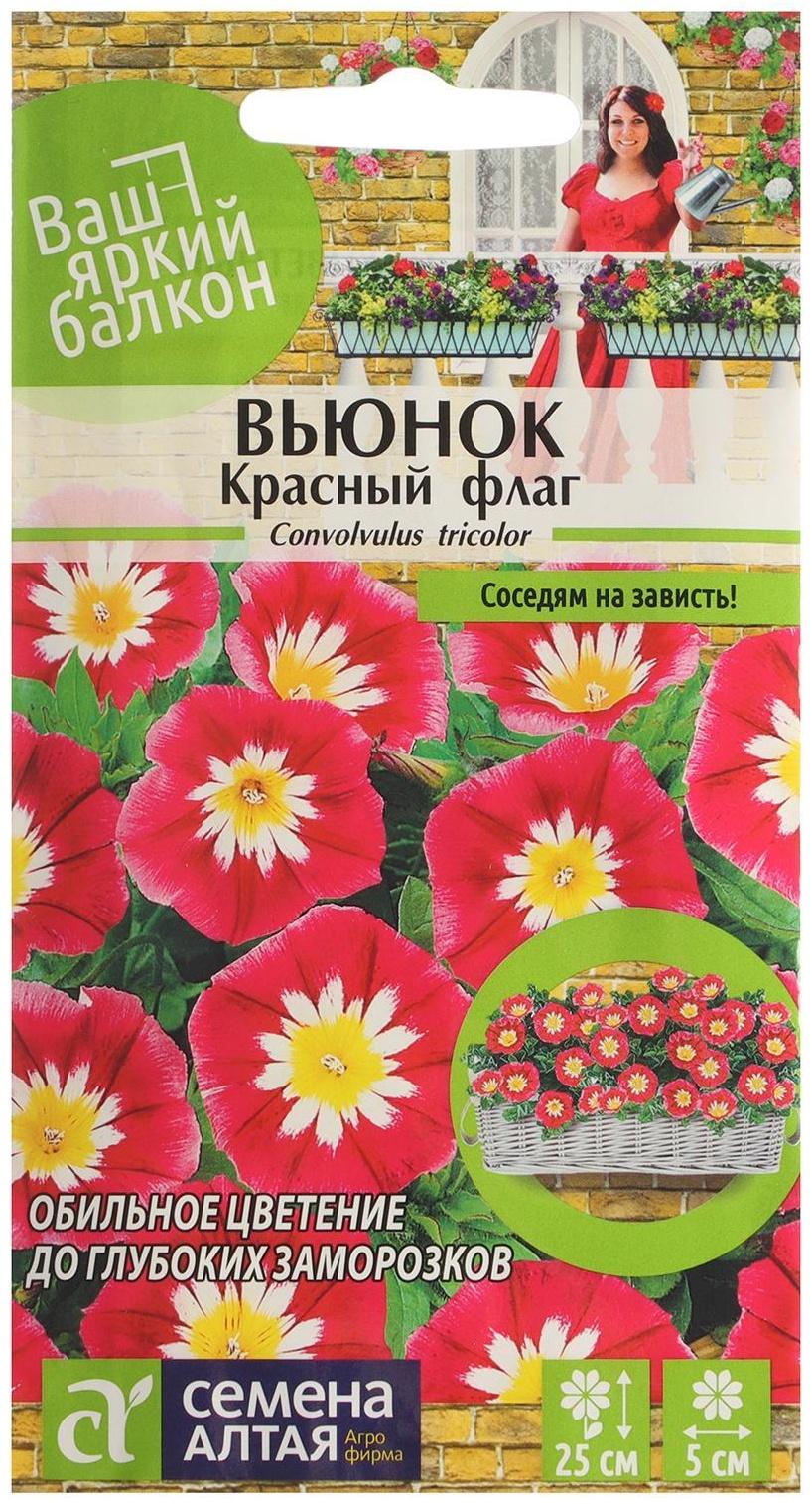 Семена цветов Вьюнок 