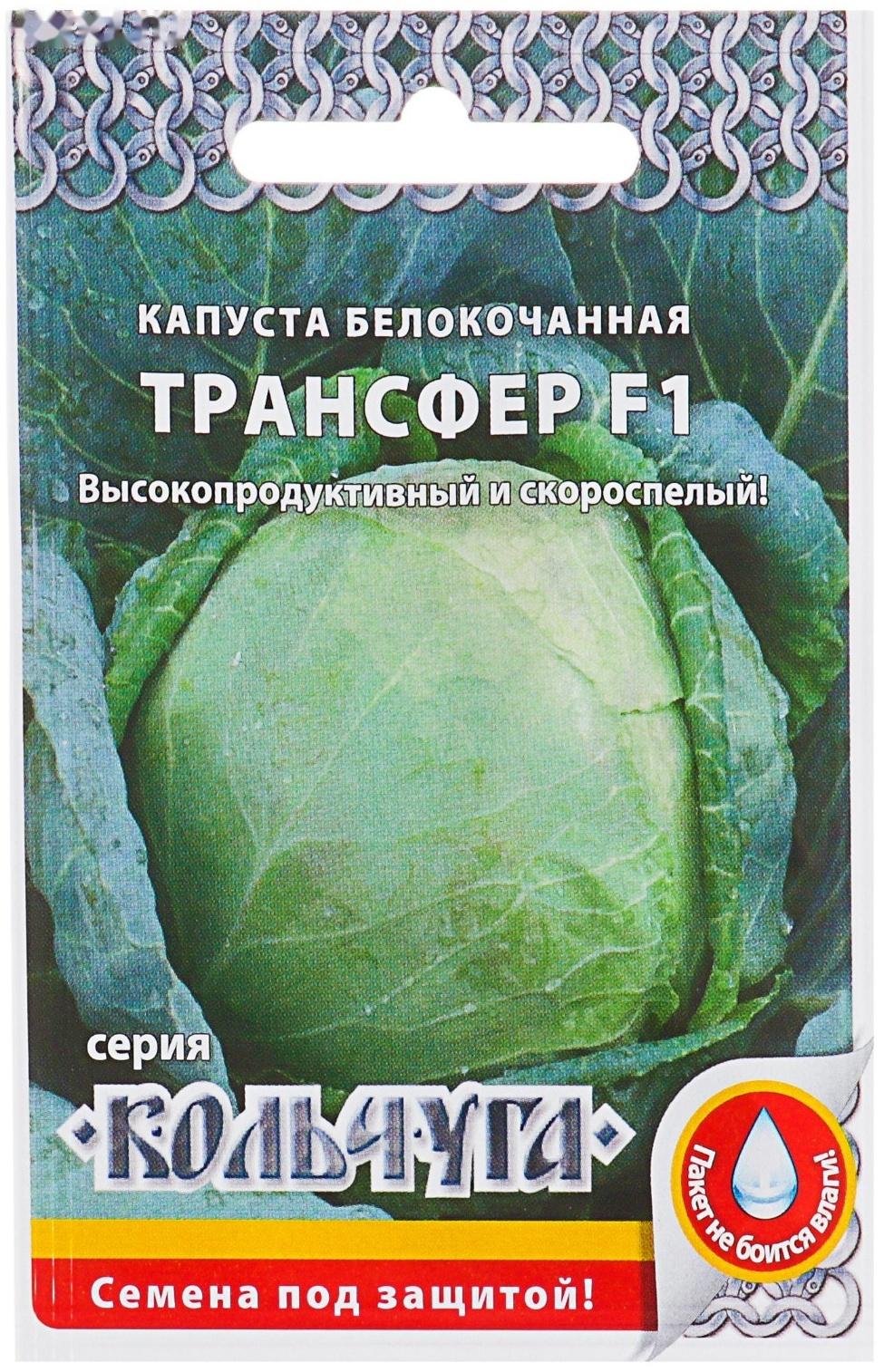 Семена Капуста белокочанная 