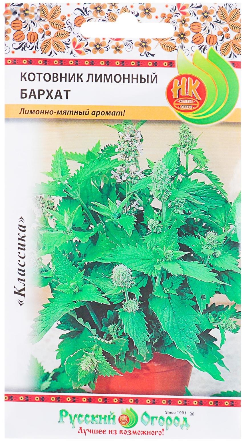 Семена цветов Котовник лимонный 