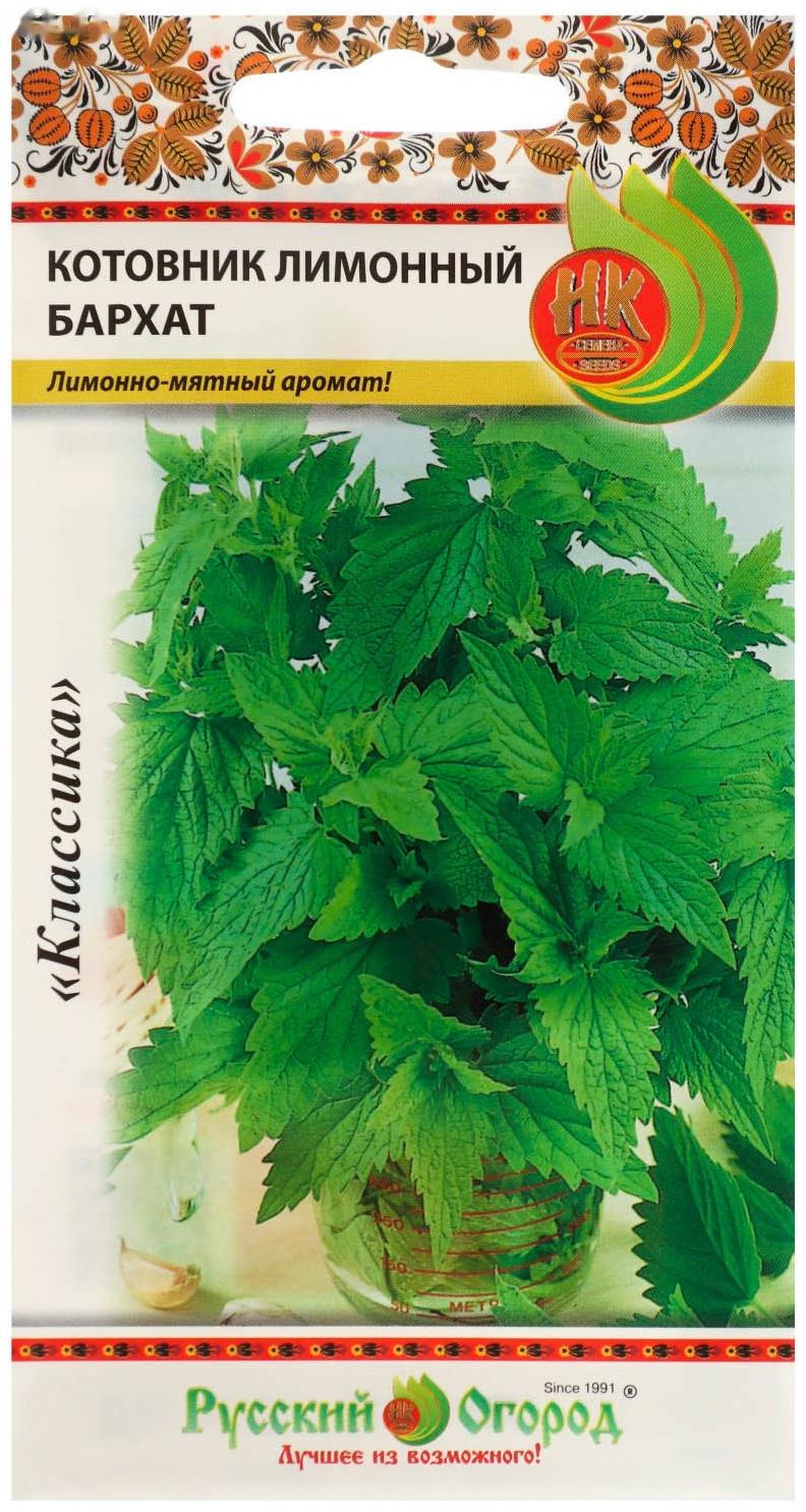 Семена цветов Котовник лимонный 