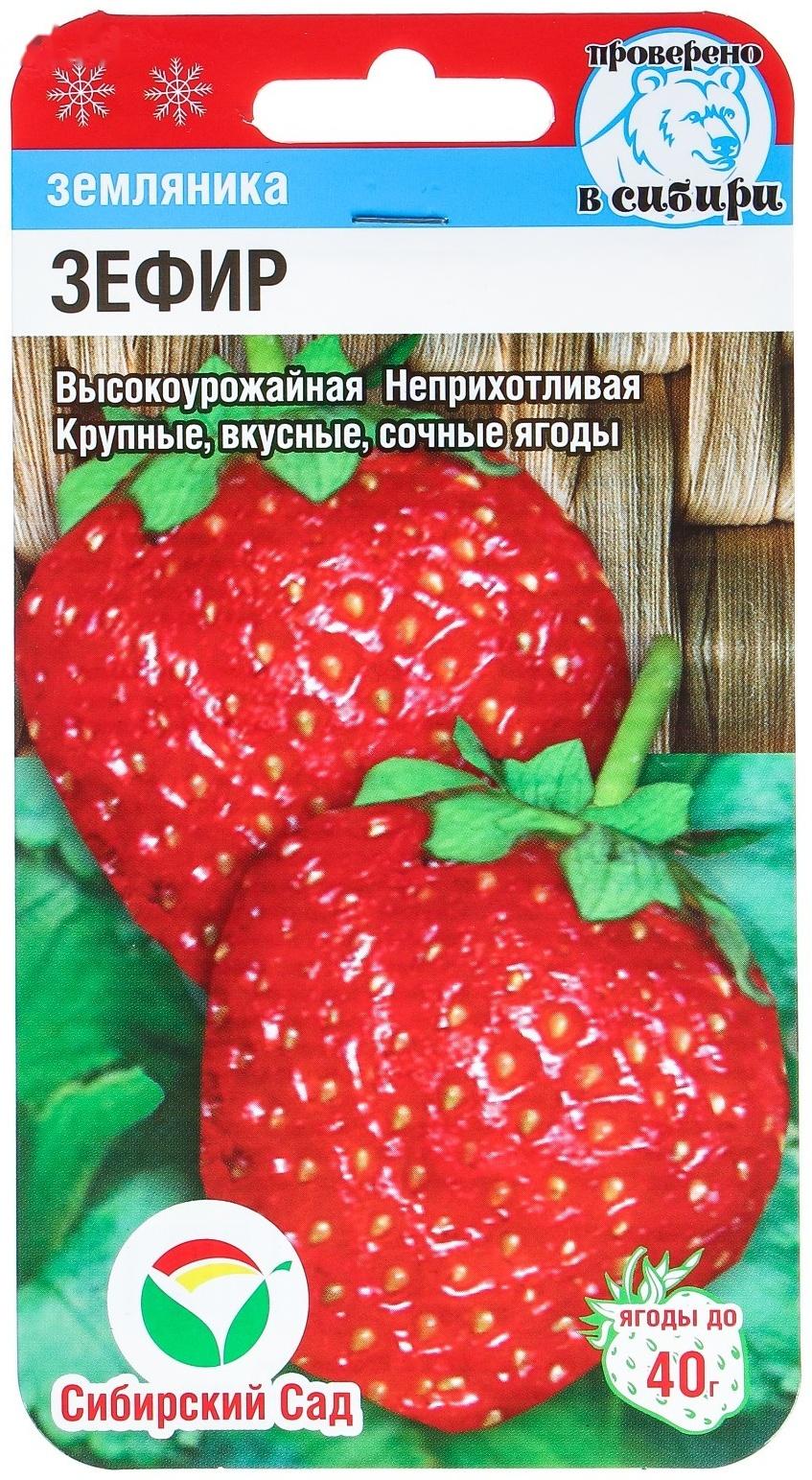 Семена Клубника 
