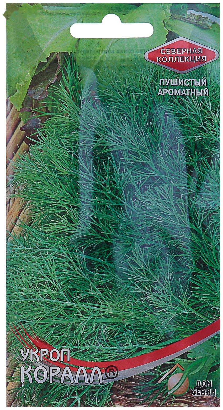 Семена Укроп 