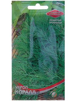 Семена Укроп 