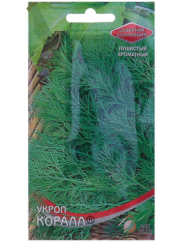 Семена Укроп 